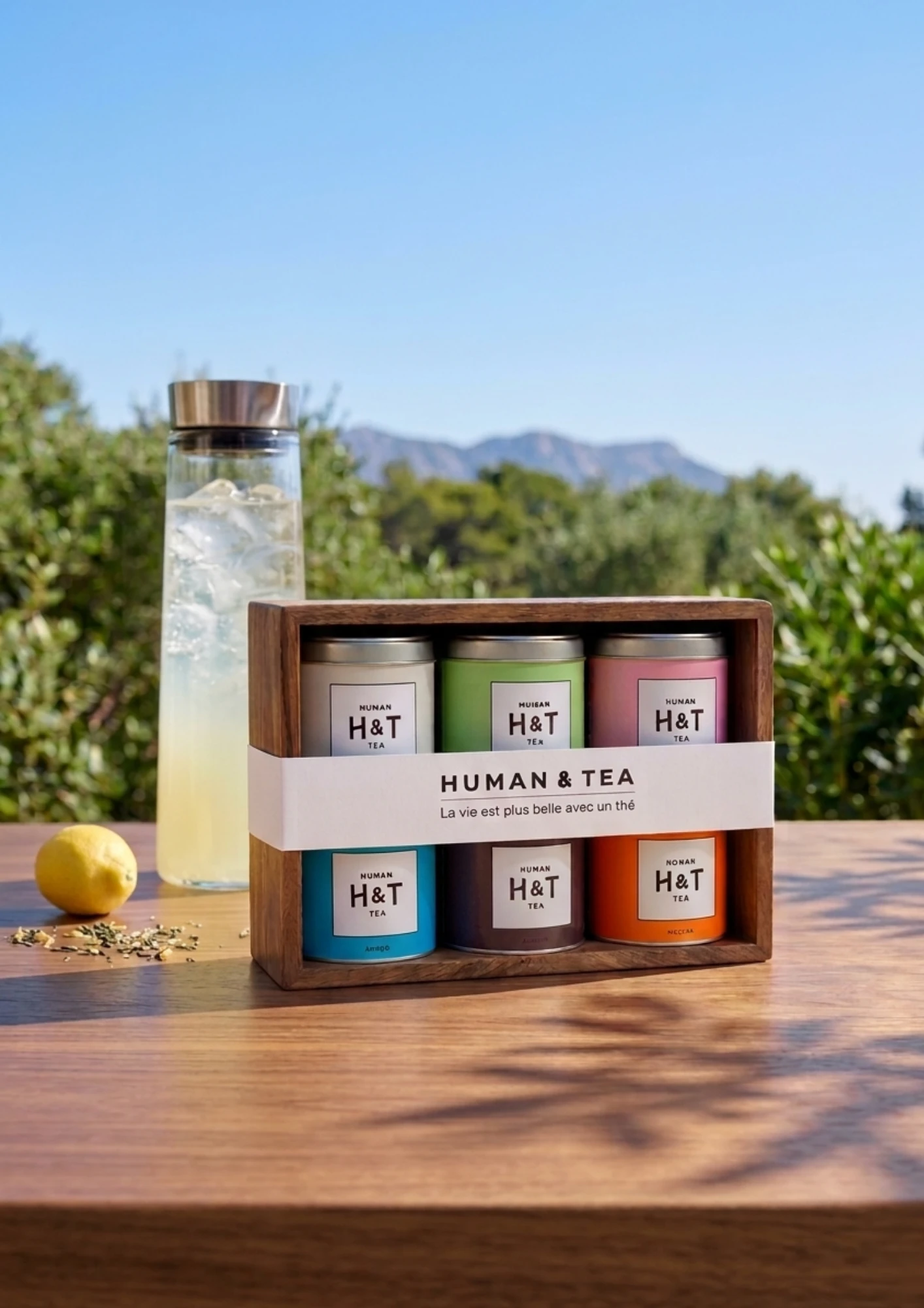 Coffret thés glacés – 6 références | Infusion à froid & Lemonfresco – Coffret découverte thés glacés — 6 familles de thés & infusions à infuser à froid ou en Lemonfresco